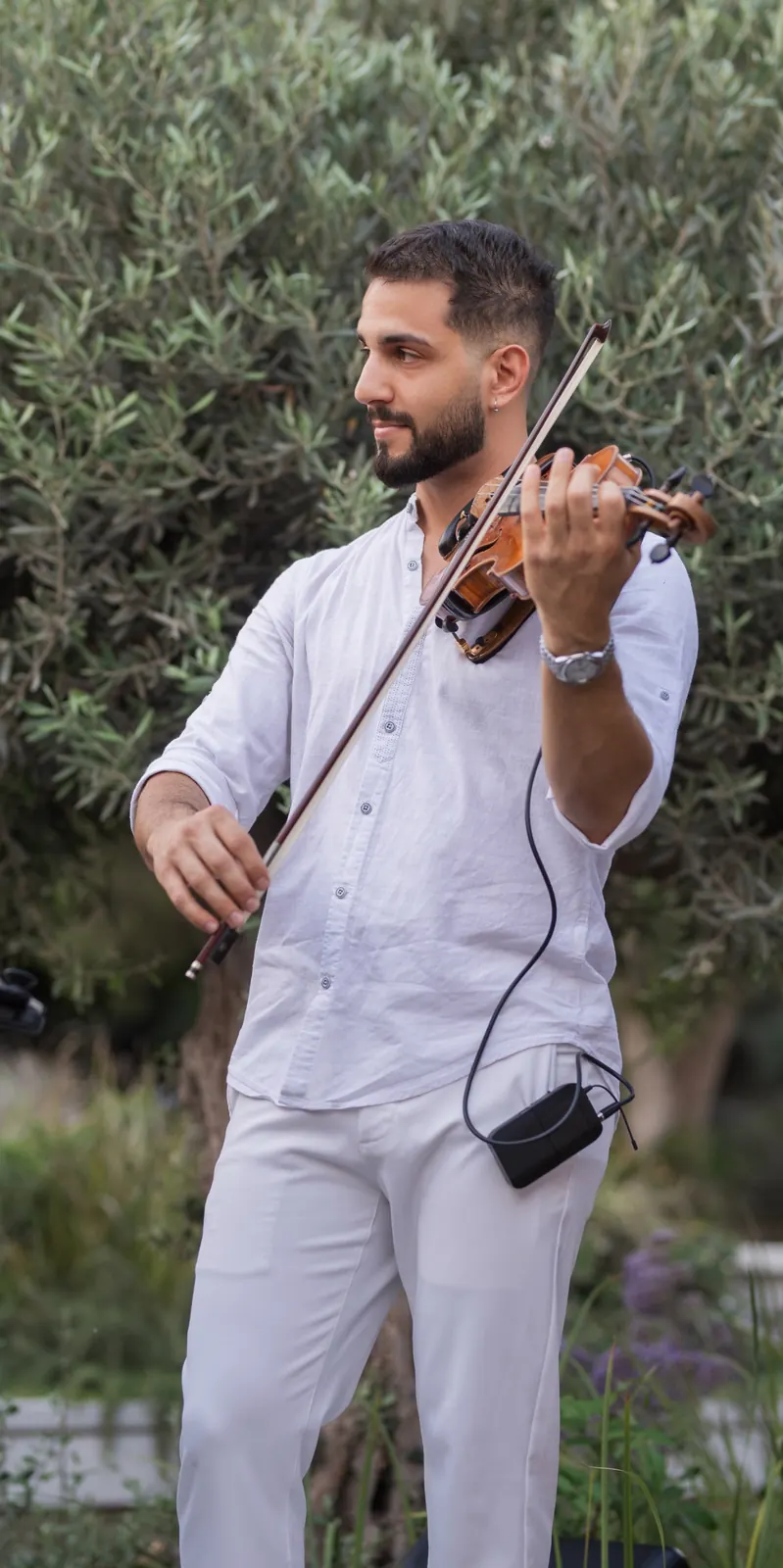 Marios in white playing violin in front of an olive tree